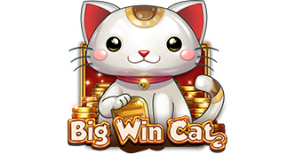 BIG WIN CAT